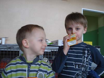 II ZAWODY BOCCI 12marca 2011 (67)